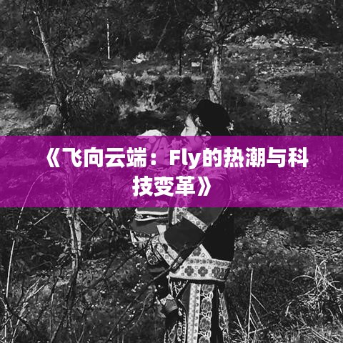 《飞向云端：Fly的热潮与科技变革》