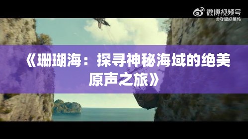 《珊瑚海：探寻神秘海域的绝美原声之旅》