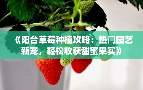 《阳台草莓种植攻略：热门园艺新宠，轻松收获甜蜜果实》