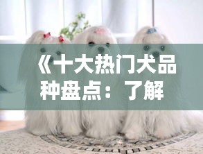 《十大热门犬品种盘点：了解它们的特点与魅力》