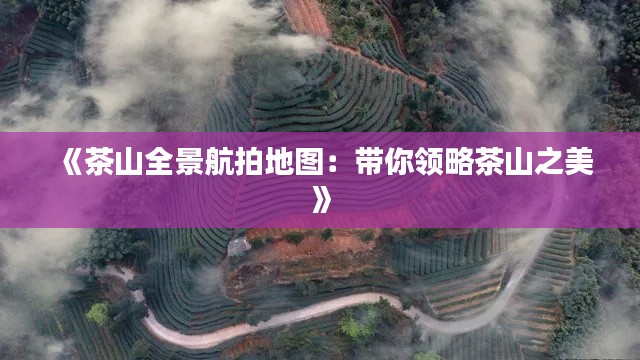 《茶山全景航拍地图：带你领略茶山之美》