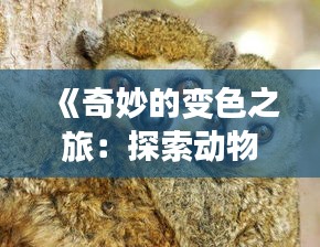 《奇妙的变色之旅：探索动物界的变色大师》