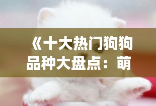 《十大热门狗狗品种大盘点：萌宠界的明星阵容》