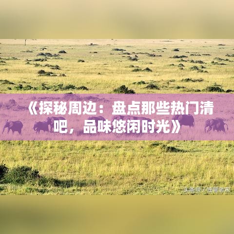 《探秘周边：盘点那些热门清吧，品味悠闲时光》