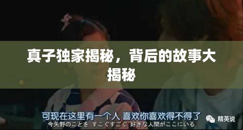 真子独家揭秘，背后的故事大揭秘