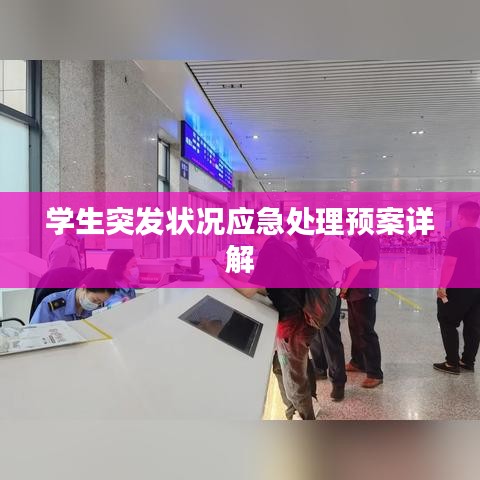 学生突发状况应急处理预案详解