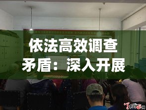 依法高效调查矛盾：深入开展矛盾纠纷排查调处 