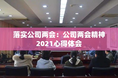 落实公司两会：公司两会精神 2021心得体会 