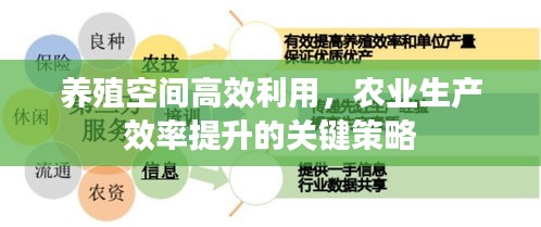 养殖空间高效利用，农业生产效率提升的关键策略