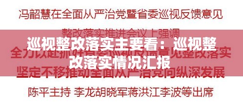 巡视整改落实主要看：巡视整改落实情况汇报 