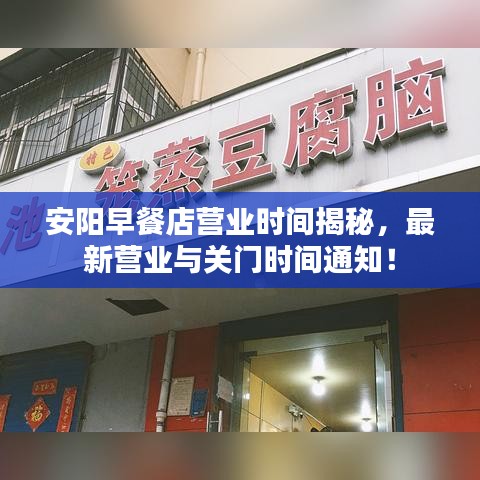 安阳早餐店营业时间揭秘，最新营业与关门时间通知！