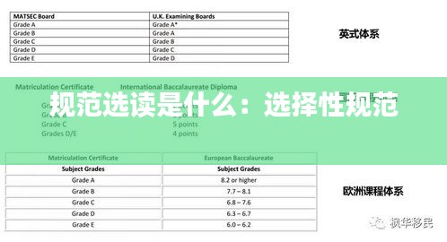 规范选读是什么：选择性规范 