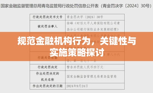 规范金融机构行为，关键性与实施策略探讨