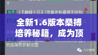 全新1.6版本桑搏培养秘籍，成为顶尖玩家的不二指南