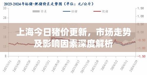 上海今日猪价更新，市场走势及影响因素深度解析