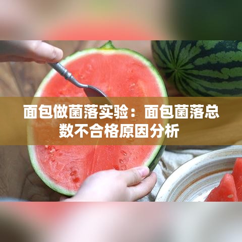 面包做菌落实验：面包菌落总数不合格原因分析 