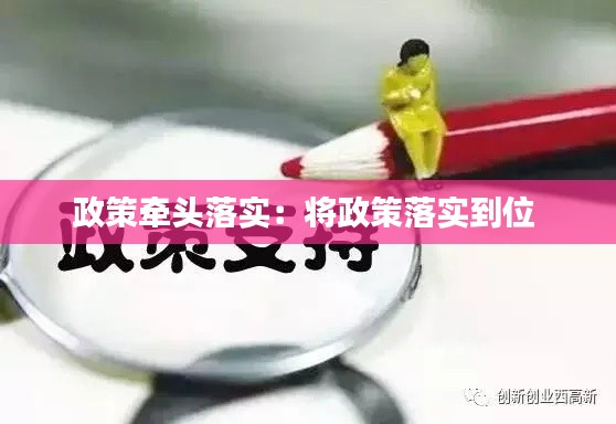 政策牵头落实：将政策落实到位 