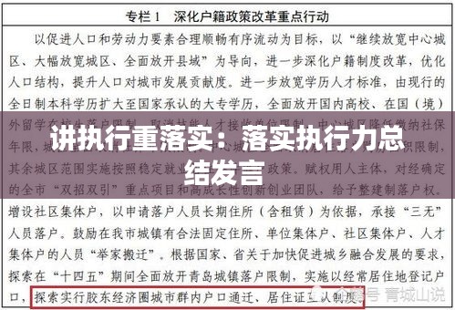 讲执行重落实：落实执行力总结发言 