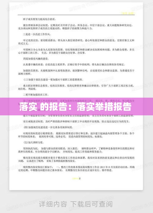 落实 的报告：落实举措报告 