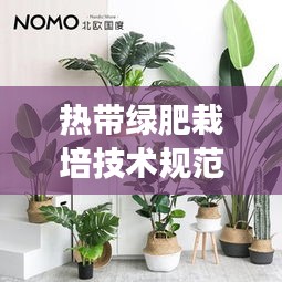 热带绿肥栽培技术规范：热带绿植图片 盆栽 