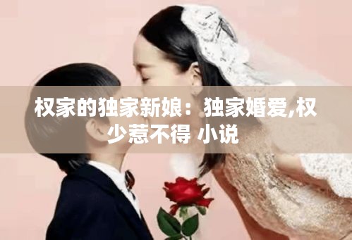 权家的独家新娘：独家婚爱,权少惹不得 小说 