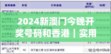 2024新澳门今晚开奖号码和香港｜实用性执行策略讲解