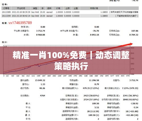 精准一肖100%免费｜动态调整策略执行