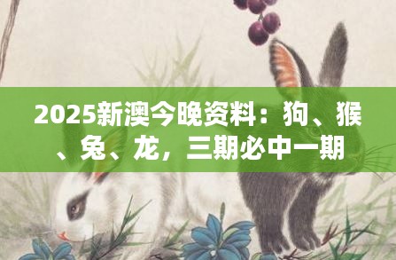 2025新澳今晚资料：狗、猴、兔、龙，三期必中一期