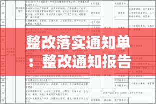 整改落实通知单：整改通知报告 