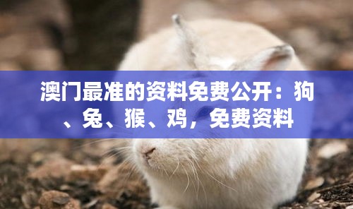 澳门最准的资料免费公开：狗、兔、猴、鸡，免费资料