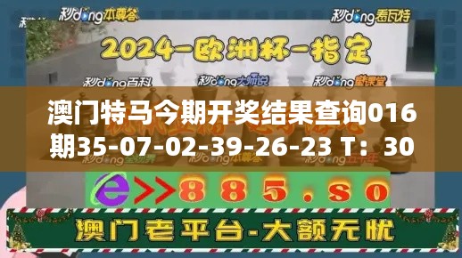 澳门特马今期开奖结果查询016期35-07-02-39-26-23 T：30