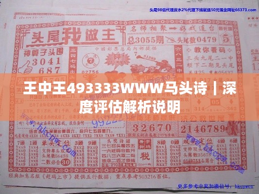 王中王493333WWW马头诗｜深度评估解析说明