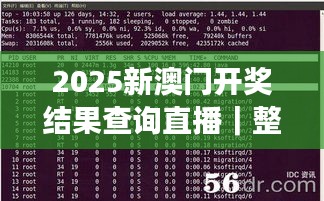 2025新澳门开奖结果查询直播｜整体执行讲解