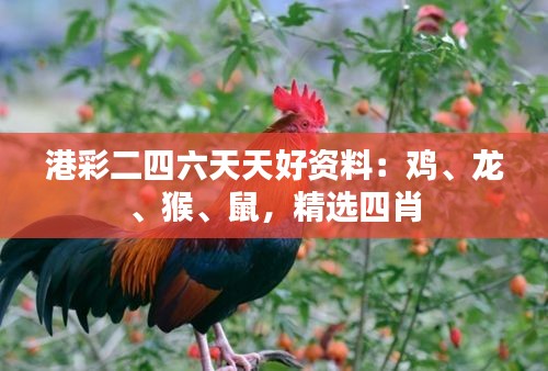 港彩二四六天天好资料：鸡、龙、猴、鼠，精选四肖