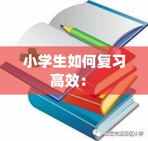 小学生如何复习高效： 