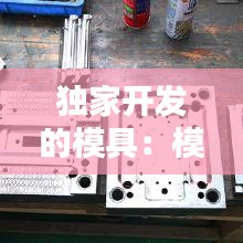 独家开发的模具：模具开发公司 