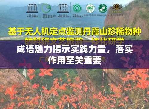 成语魅力揭示实践力量，落实作用至关重要