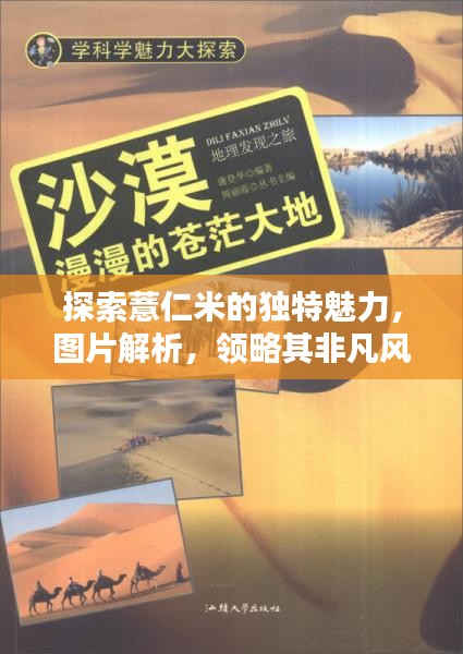 探索薏仁米的独特魅力，图片解析，领略其非凡风采！