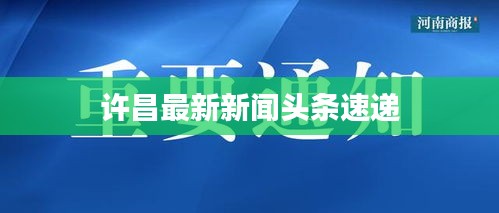 许昌最新新闻头条速递