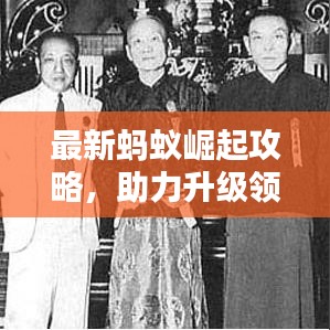 最新蚂蚁崛起攻略，助力升级领袖之路！