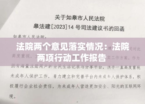 法院两个意见落实情况：法院两项行动工作报告 