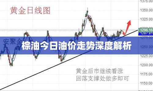 棕油今日油价走势深度解析