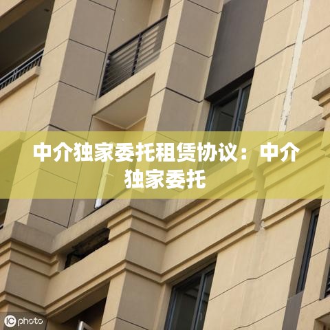 中介独家委托租赁协议：中介 独家委托 