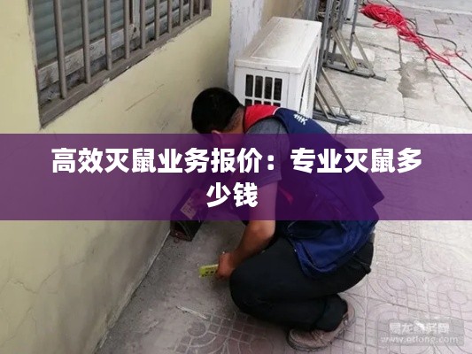 高效灭鼠业务报价：专业灭鼠多少钱 