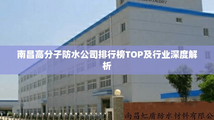 南昌高分子防水公司排行榜TOP及行业深度解析