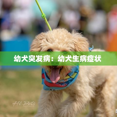 幼犬突发病：幼犬生病症状 