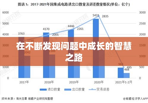 在不断发现问题中成长的智慧之路