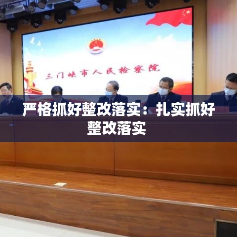 严格抓好整改落实：扎实抓好整改落实 