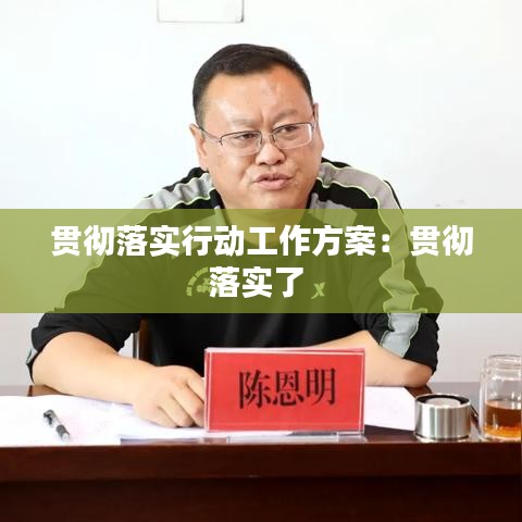 贯彻落实行动工作方案：贯彻落实了 