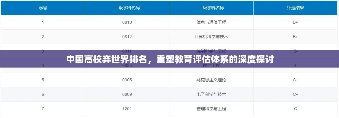 中国高校弃世界排名，重塑教育评估体系的深度探讨